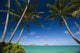 Palm tree over Pacific ocean with Mokulua island in background Wall Mural
