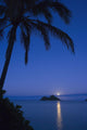 Palm tree over Pacific ocean with Mokulua island in background Wall Mural