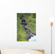 Also Know As Oheo Gulch Wall Mural