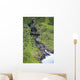Also Know As Oheo Gulch Wall Mural