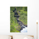 Also Know As Oheo Gulch Wall Mural