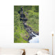 Also Know As Oheo Gulch Wall Mural