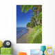Lanai In The Background Wall Mural