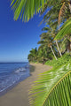 Lanai In The Background Wall Mural