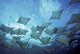 Ecuador, vie from below Wall Mural