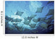 Ecuador, vie from below Wall Mural