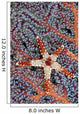 Necklace Seastar on gorgonian coral Wall Mural