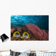 Malaysia, Alcyonarian Coral and pair of Spot-Tailed Butterflyfish Wall Mural