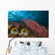 Malaysia, Alcyonarian Coral and pair of Spot-Tailed Butterflyfish Wall Mural