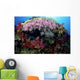 Fiji, Alcyonarian coral Wall Mural