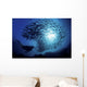 Ecuador, Diver and schooling Black Striped Salema Wall Mural
