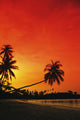 Indonesia, Tourist resort and beach at sunset Wall Mural