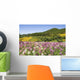 Meadow Of Colorful Flowers Wall Mural