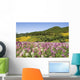 Meadow Of Colorful Flowers Wall Mural