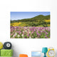 Meadow Of Colorful Flowers Wall Mural