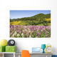 Meadow Of Colorful Flowers Wall Mural