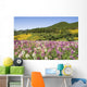 Meadow Of Colorful Flowers Wall Mural
