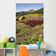 Thailand, Bungalows in Toong Bua Tong Forest Park Wall Mural