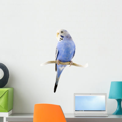 Parrot Blue and White Wall Decal shown on a wall