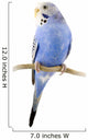 Parrot Blue and White Wall Decal