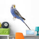 Parrot Blue and White Wall Decal