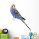 Parrot Blue and White Wall Decal
