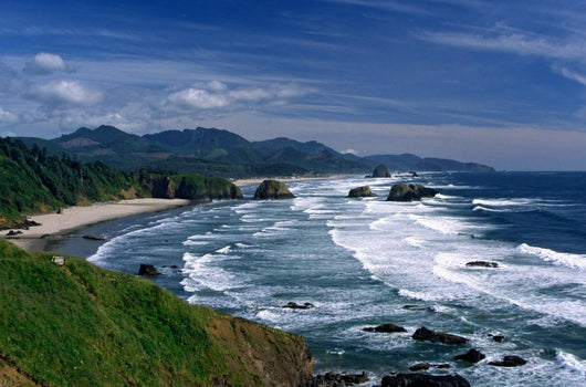 Oregon Coast Wall Mural