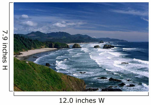 Oregon Coast Wall Mural