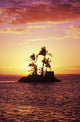 Palm Trees On Small Island Silhouetted Against Tropical Sunrise Wall Mural