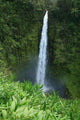 USA, Hawaii Islands, Big Island, View Of Misty Falls Wall Mural