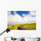Car driving down Saddle Road Wall Mural