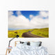 Car driving down Saddle Road Wall Mural