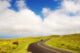 Car driving down Saddle Road Wall Mural