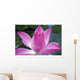 Close-Up Of Pink Lotus Waterlily Bud Wall Mural