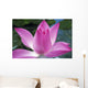 Close-Up Of Pink Lotus Waterlily Bud Wall Mural