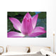 Close-Up Of Pink Lotus Waterlily Bud Wall Mural