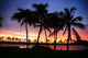 Dramatic And Colorful Sunset Sky With Palm Tree Silhouettes Wall Mural
