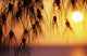Orange Sunset Over Ocean In Background Wall Mural