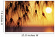 Orange Sunset Over Ocean In Background Wall Mural