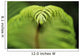 Hawaii, Big Island, Closeup Of Hapu'u Fern Tip Wall Mural