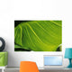 Extreme Close-Up Of Calla Lily Leaf Wall Mural