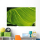 Extreme Close-Up Of Calla Lily Leaf Wall Mural