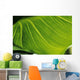 Extreme Close-Up Of Calla Lily Leaf Wall Mural