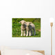 Two Cute Lambs Wall Mural
