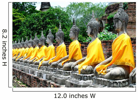 Buddha statues Wall Mural