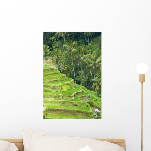 Rice Terraces Wall Decal