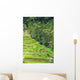 Rice Terraces Wall Decal