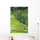 Rice Terraces Wall Decal