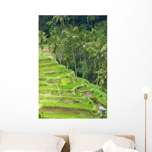 Rice Terraces Wall Decal