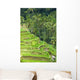 Rice Terraces Wall Decal
